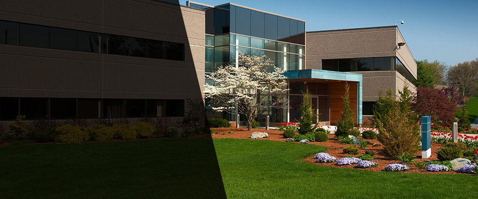 Cromwell Landscapers