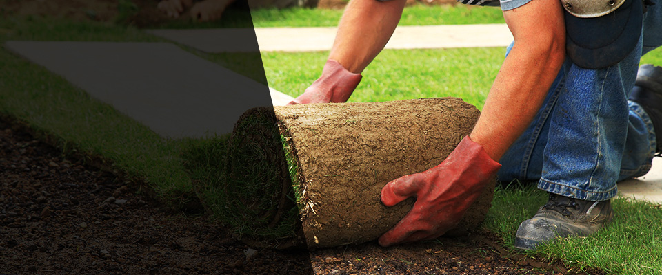 Cromwell Landscapers
